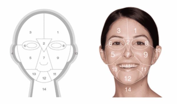 facemapping
